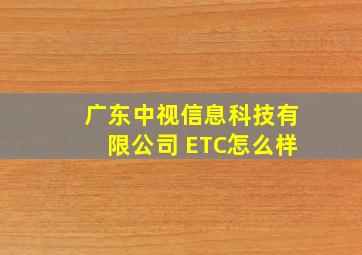 广东中视信息科技有限公司 ETC怎么样